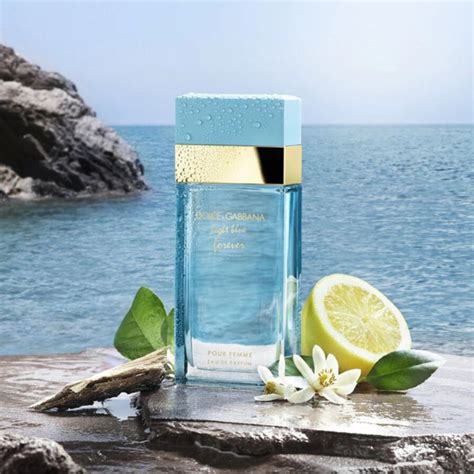 dolce gabbana parfum damen blau|dolce and gabbana prices perfumes.